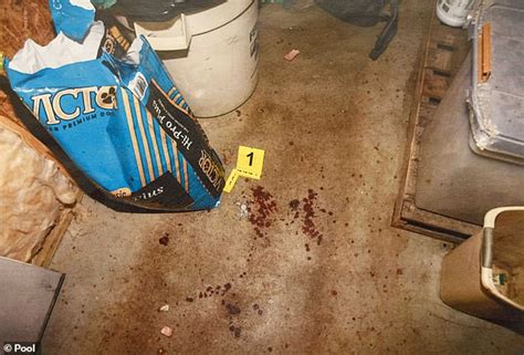 maggie murdaugh crime scene photos|Chilling photos reveal bloody crime scene where Maggie and Paul ...